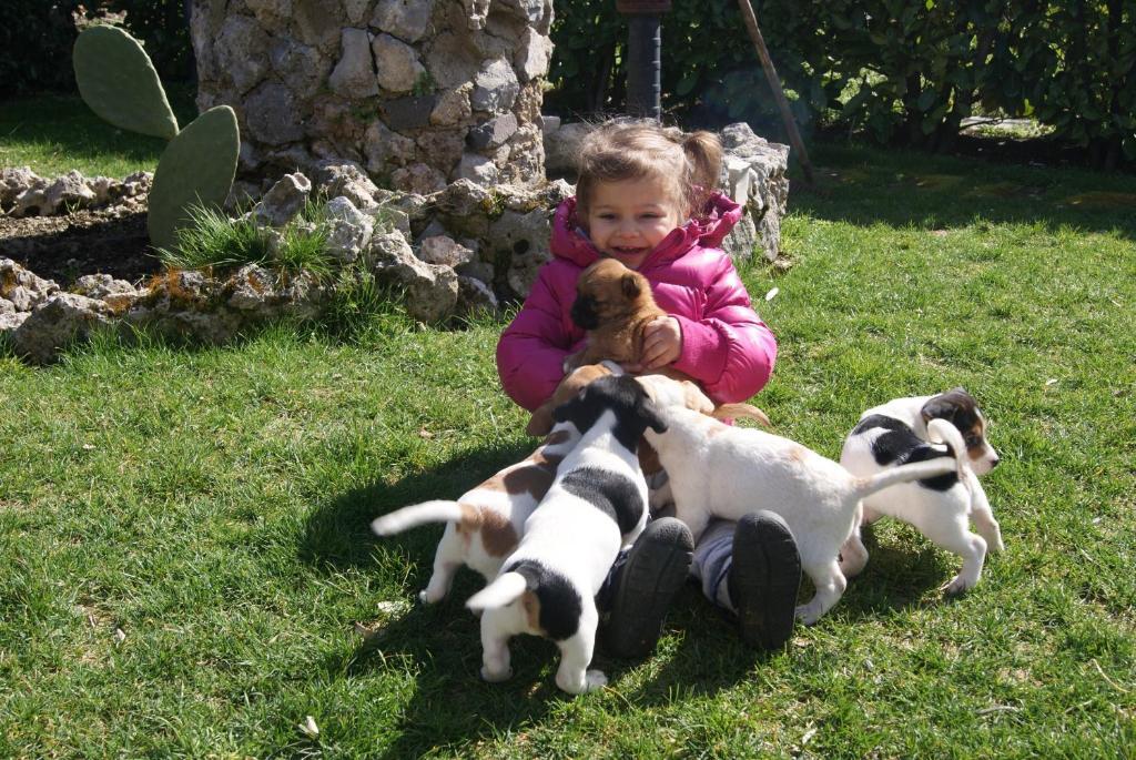 Agriturismo Sentiero Dei Sapori Guest House Аджерола Екстериор снимка