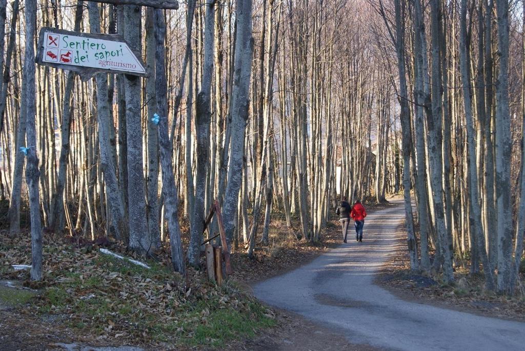 Agriturismo Sentiero Dei Sapori Guest House Аджерола Екстериор снимка